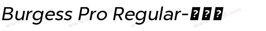 Burgess Pro Regular字体转换
